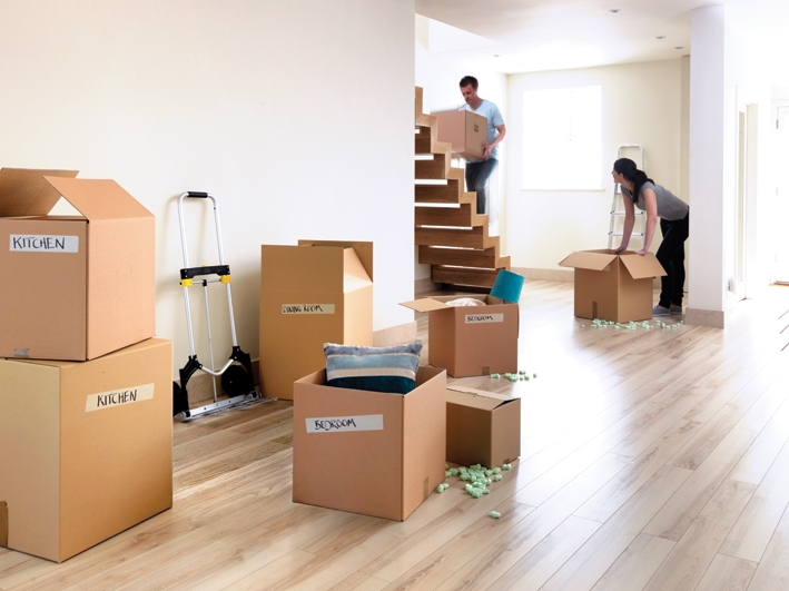 What are the important things you need to know about removalists?
